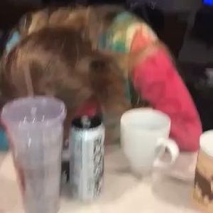 Meet your Posher, Sydney